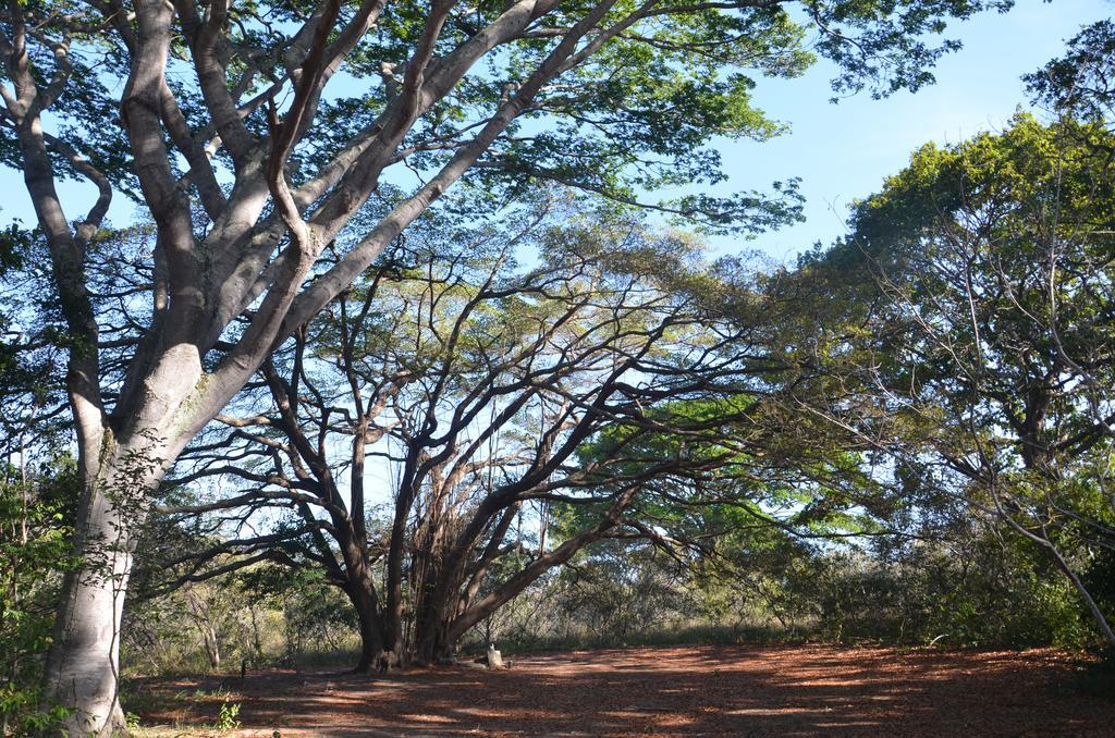 Pousada Terras Do Poente Vale do Capao Kültér fotó